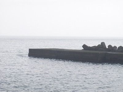 P9060119