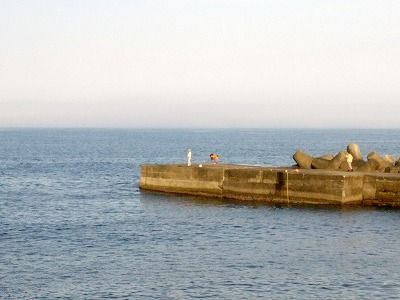 DSC_0018