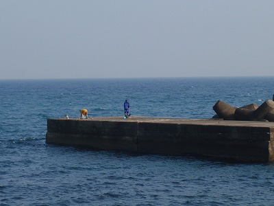 P2240060
