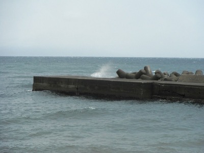 DSCF3835