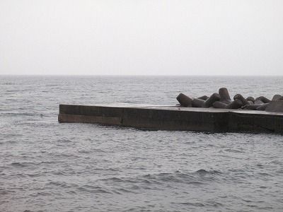 P4220252