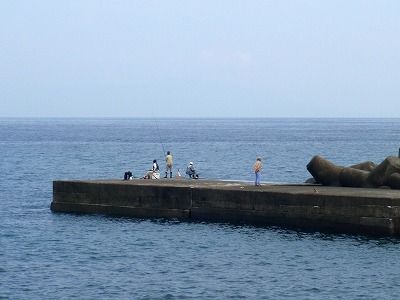 PA050116