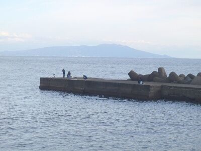 PC260232