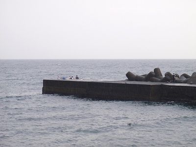 PB030207