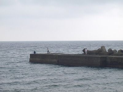 P9190156