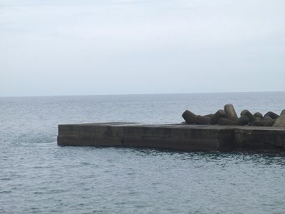 P9020206