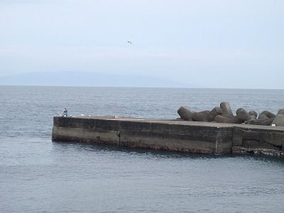 P4260182