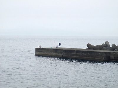 P6110115