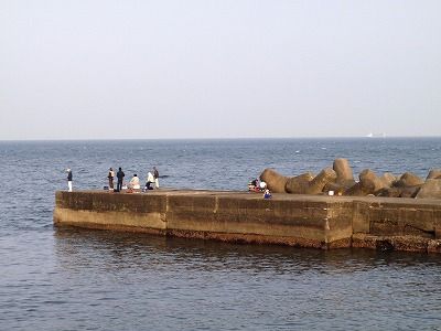 P5090245