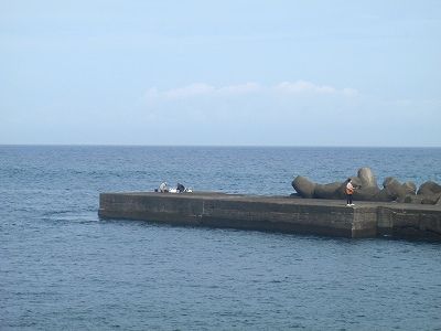 P7110206