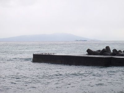 P1100094