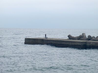 P8230232