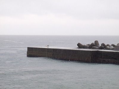 P8300120