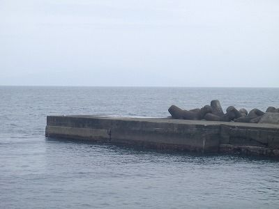 P4210149