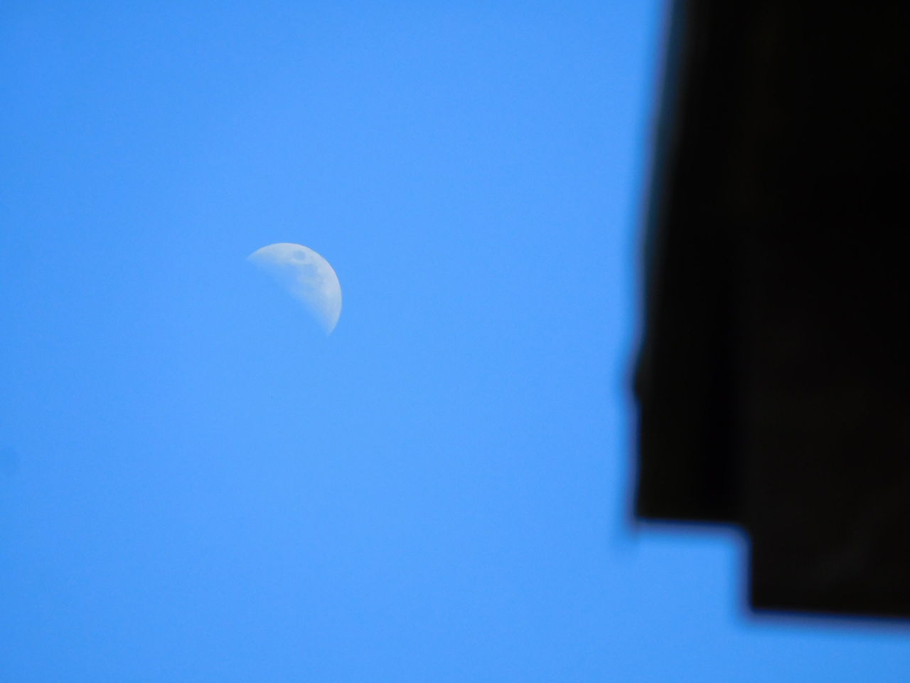 真夏快晴の空に昼の月を見た 相棒 柴犬太郎とタカハウスで暮らす