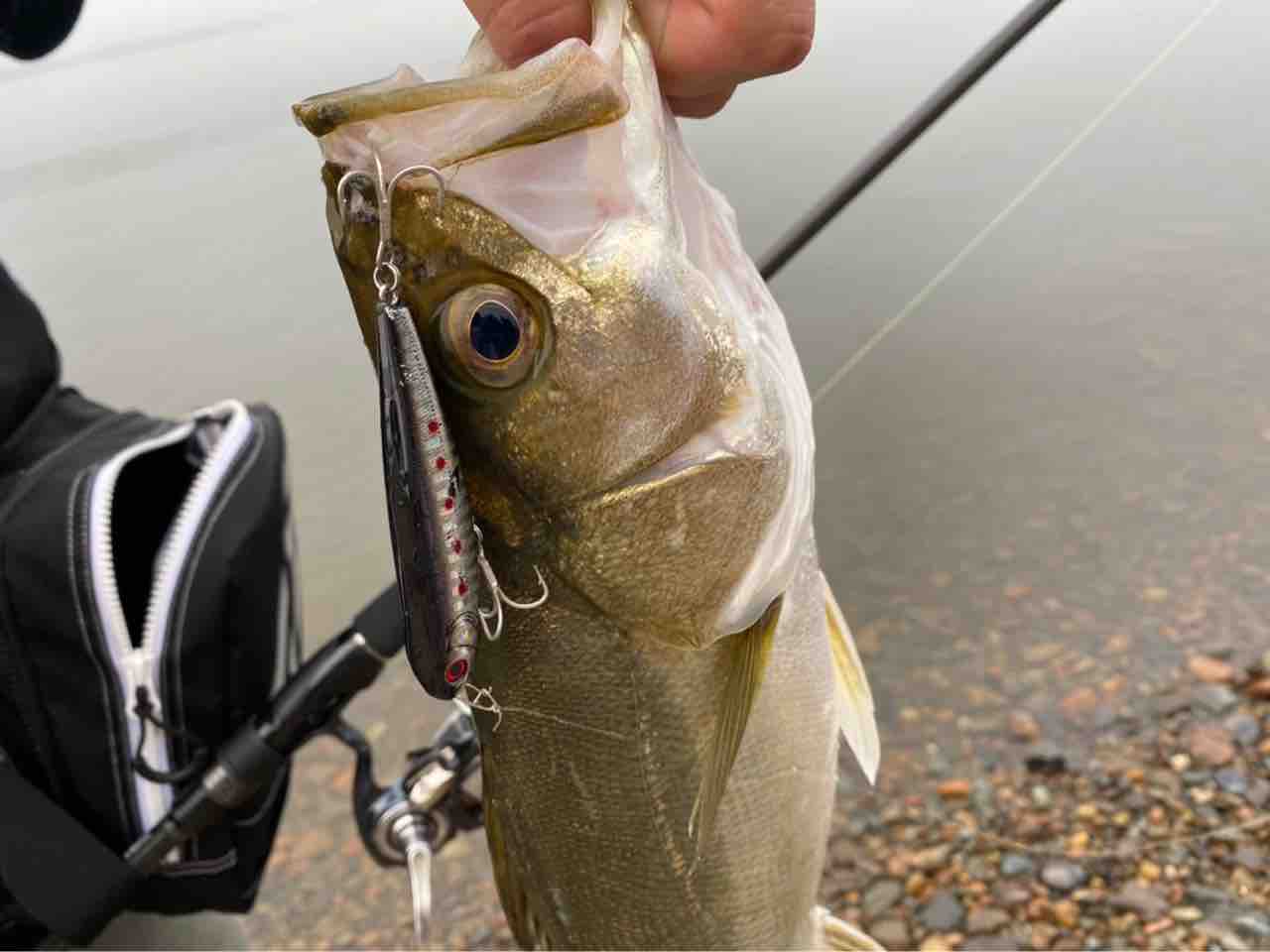 涸沼からの渓流 今日はえげぇの釣っぺ