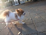 LUU20091212_01