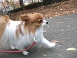 LUU20091129_01