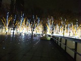LUU20091208_02