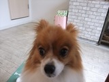 LUU20100808_03