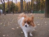LUU20091129_02
