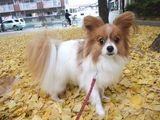 LUU20091129_09