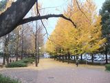 LUU20091129_05
