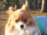 LUU20091226_02