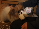 LUU20100808_01