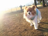 LUU20091223_01