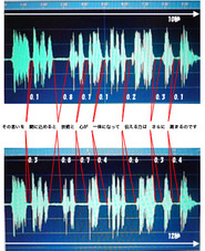 音声波形比較