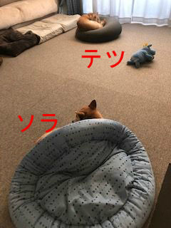 BlogPaint