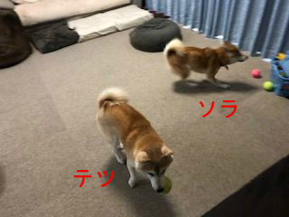 BlogPaint