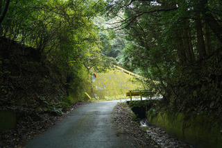 DSC02281