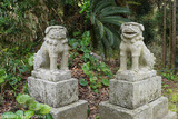 秋 若宮神社