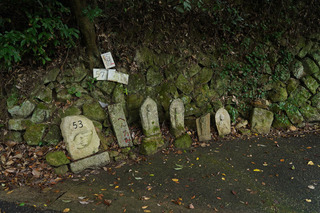 DSC02272