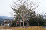 安下庄 赤石神社