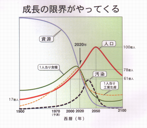 ¼������Ϻ����w500