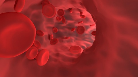red-blood-cell-4807218_1280
