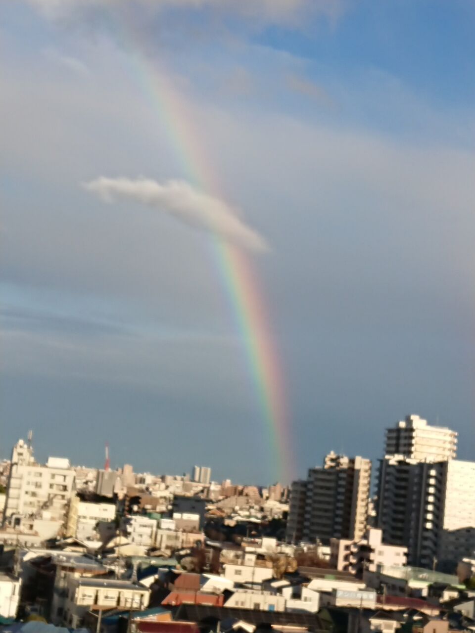 東の空にぽっかり虹が Takatamo80 東の空にぽっかり虹が Takatamo80