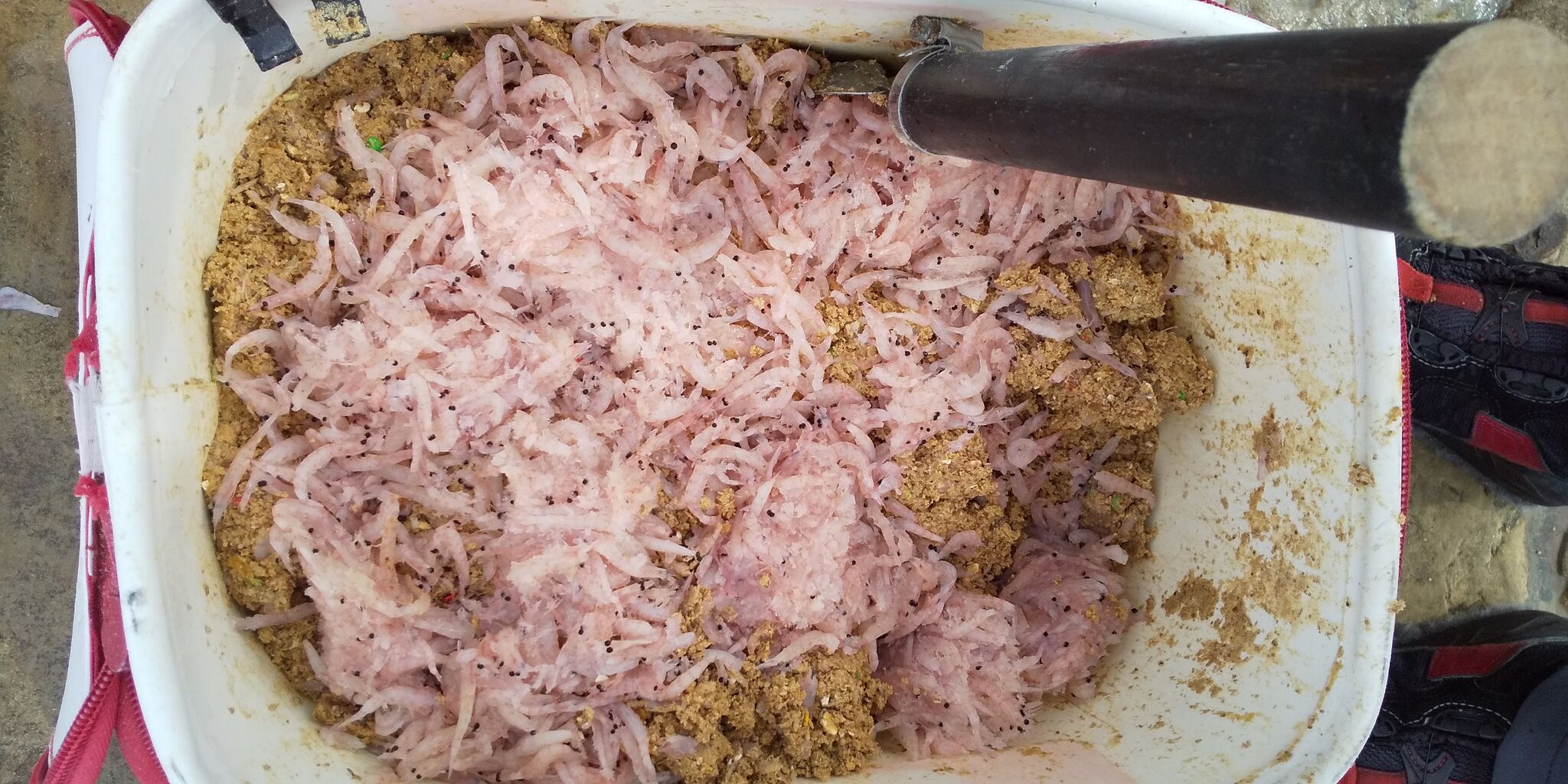釣りはココロの栄養です 撒き餌づくり