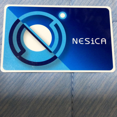 294018023