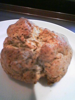 �����衼�Υƥ�����������