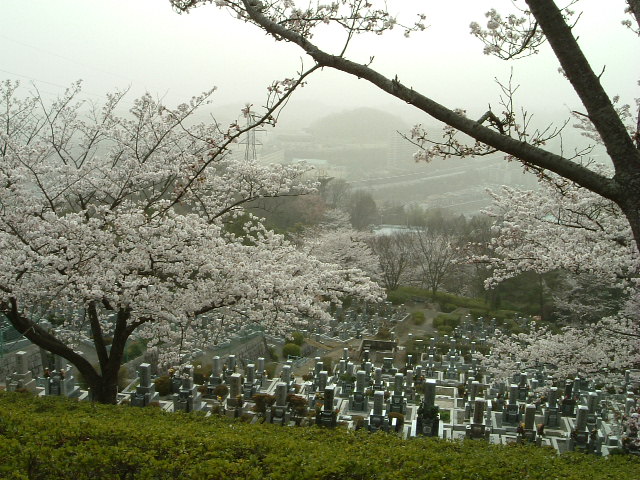 �������Ϻ�