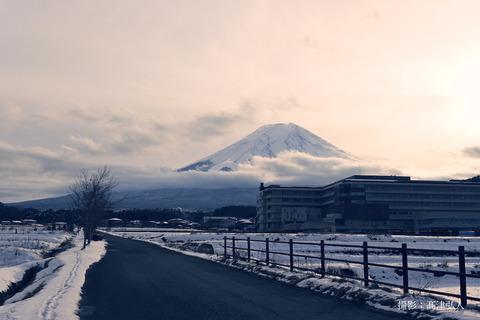 DSC_0031