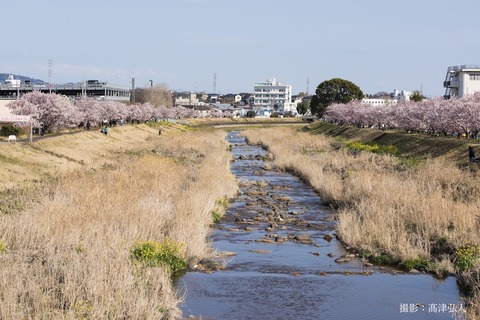 DSC_2788aa