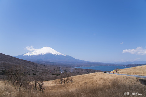 DSC_6617a