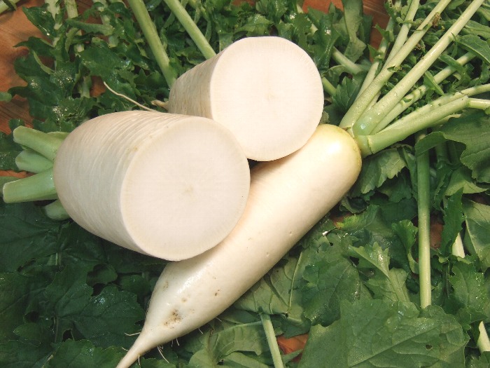 虫食い白菜と源助大根 自然農法に憧れて