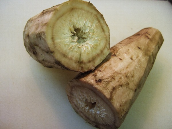 ワケギとゴボウの筑前煮 自然農法に憧れて