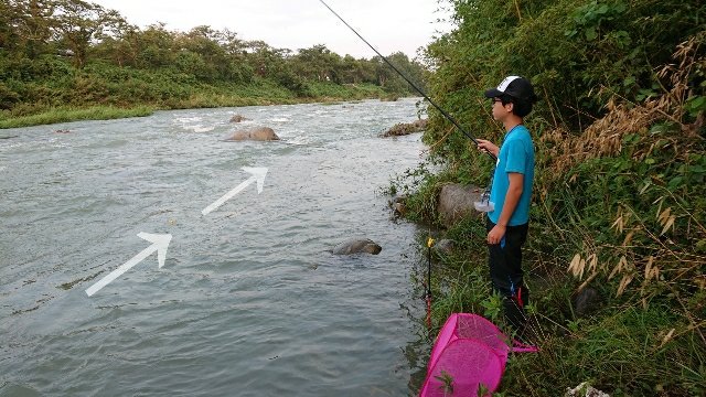 小鮎釣り 犬上川19 08 17 釣りにつられて